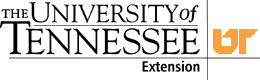 UT Extension Header