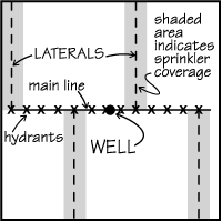 location of laterals pic